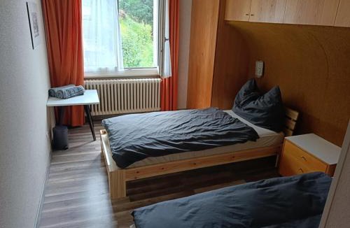 Braunwald Hotel | Adrenalin Backpackers Hotel