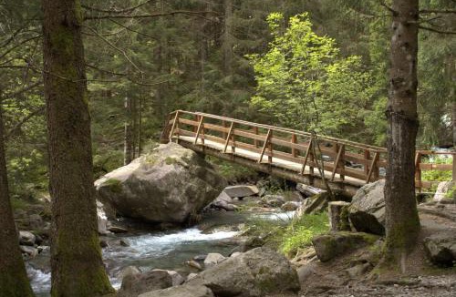 Schilpario Apartment | The Wild Deer Retreat