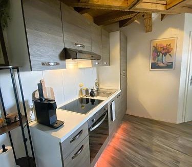 St. Gallen Apartment | Zentrales Design Loft über den Dächern St Gallens