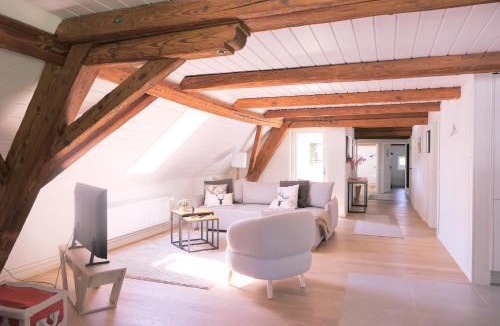 Teufenthal Apartment | Family Suite little Nest, 120 m, Hallwilersee Nähe, Hund,2 PP, 2 Bäder