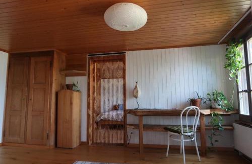 Darligen Ski Chalet | Lakeview Chalet 1 , Drligen