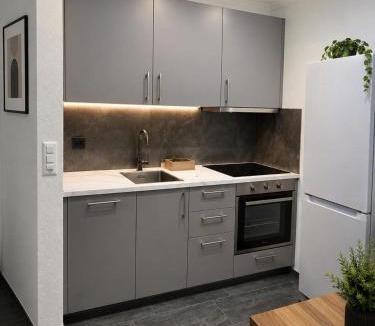 Wilderswil Apartment | Urban Hospitality Rorschach Bodensee Stay