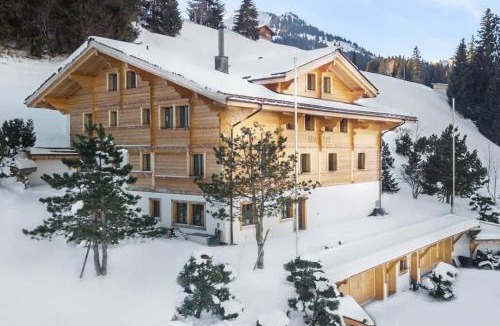 Oeschseite Ski Chalet | Beautiful Modern Chalet in the Nature Gstaad Region