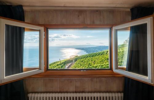 Grandvaux Apartment | Domaine de la Crausaz