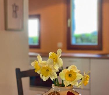 Frasco House | Verzasca Lodge Tea - Charming retreat in nature