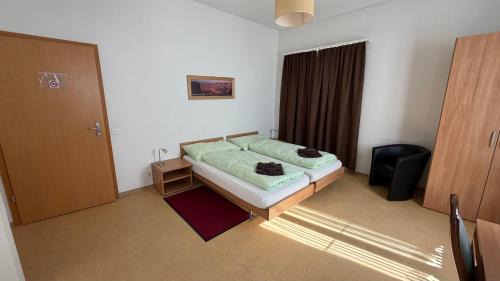 Glarus Sued Hotel | Adler