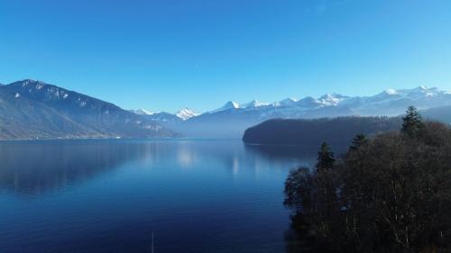 Einigen Apartment | am See 5min nach Spiez 20min nach Interlaken