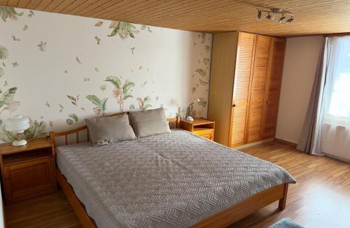 Uster District Apartment | charmante 3,5 Zimmer Wohnung im Bauernhaus