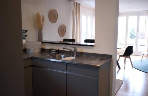 Brittern Apartment | LINE UP - 2,5 Zi Whg mit Seeanstoss - Beckenried