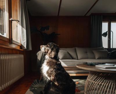 Leissigen Apartment | LaVida Wave Lakeside, Interlaken, Ski, free parking