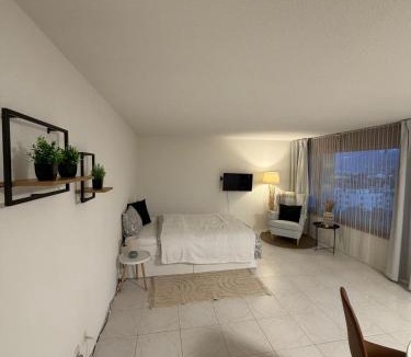 Bürgenstock Apartment | Studio Lakeview
