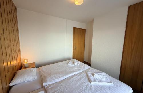 Salins Ski Chalet | Fontannets 001 COSY & MOUNTAIN chalet 10 pers