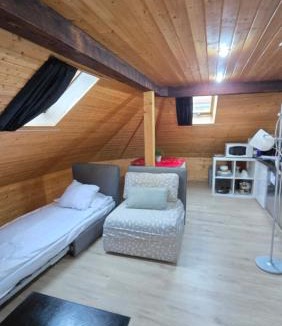 Alt-Wiedikon Apartment | Attic Loft with rooftop terrace!