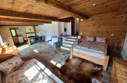 Reichenbach Apartment | Rauft-Perfekter Rückzugsort für besondere Feierlichkeiten 2500 m2 Grundstück mitten in der Natur