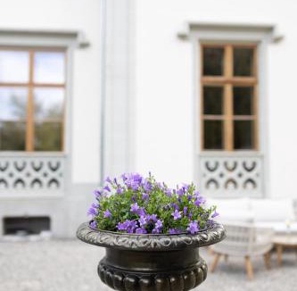 Vevey Bed & Breakfast | Château de l'Aile- Boutique Suites