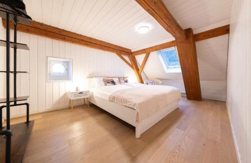 Teufenthal Apartment | Family Suite little Nest, 120 m, Hallwilersee Nähe, Hund,2 PP, 2 Bäder