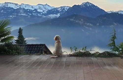 Weggis Apartment | Ruhe-Oase mit traumhafter Sicht auf den Vierwaldstättersee
