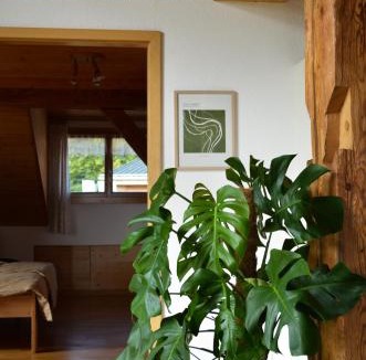 Corgemont Apartment | Appartement Vue Neuve