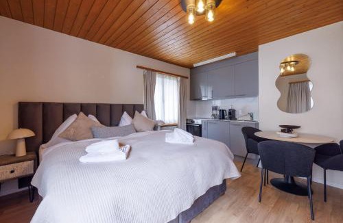 Davos-Platz Apartment | Luxe Davos Studio Central Walk to Lifts