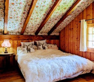 Ovronnaz Villa | Grosses Chalet für Gruppen und Familien