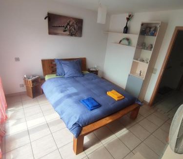 Riazzino House | Casa Diana Ticino
