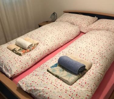 Magadino Apartment | Appartamento Romantico