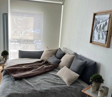 Davos-Platz Apartment | Davos Luxury Apartment - 5 Min walking to Congress Center