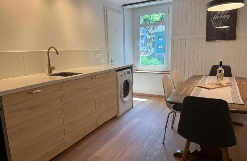 Goeschenen Apartment | Alpine Haus