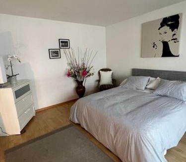 Matthaus Apartment | Schweiz (302)