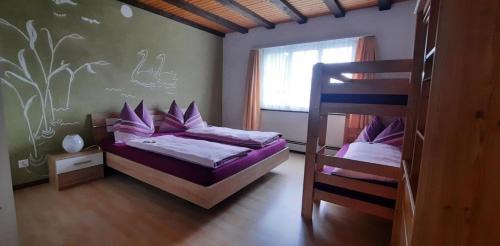 Wildhaus Apartment | Ferienwohnung Schafbergblick
