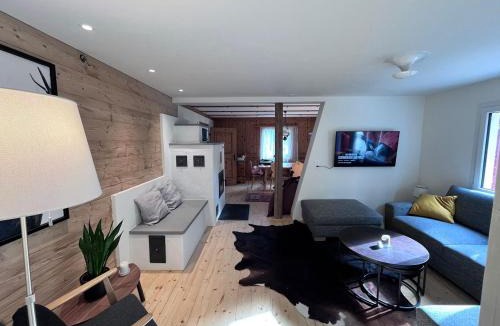 Schmitten Ski Chalet | Ferienhaus Vardaval - Schmitten/GR