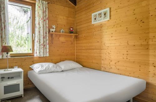 Bettmeralp Apartment | Minerva Antares