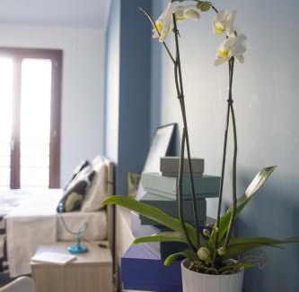 Bicocca Apartment | Aurum Aparthotels Bicocca