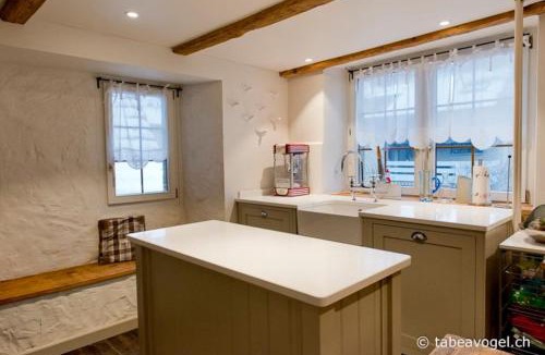 Horgen District Villa | Luxury stay in 250 year old wine farm house and gardens