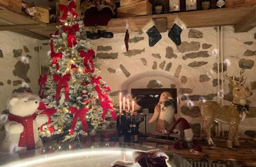 Horgen District Villa | Luxury stay in 250 year old wine farm house and gardens