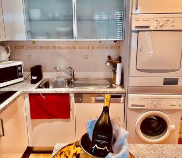 Lugano Apartment | Beautiful Lake front apartment