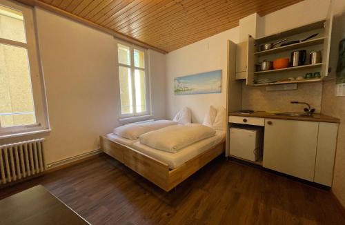 Central Interlaken House | Downtown Apartment 9