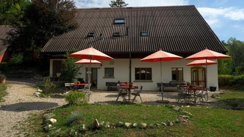 Delemont Hostel | Delémont Youth Hostel