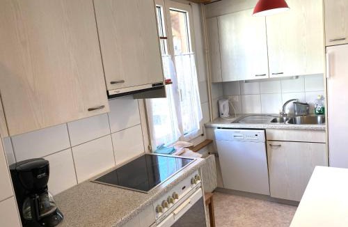 Brienz Apartment | Brienzersee - Direct lake view