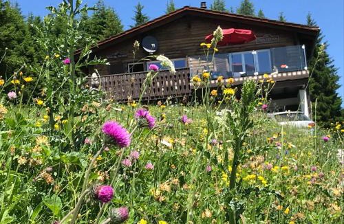 Valbella Ski Chalet | Chalet Casa Cresta - Top of Lenzerheide - bis 9 Personen