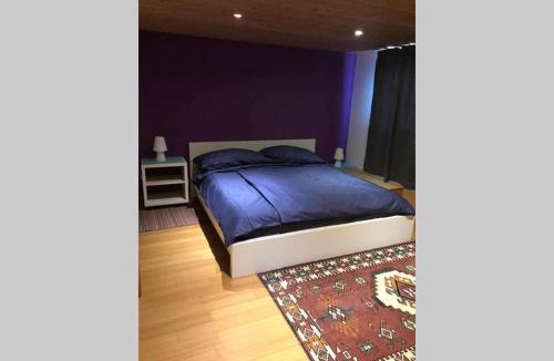 Port-Valais Apartment | Whole large 3 levels apartment