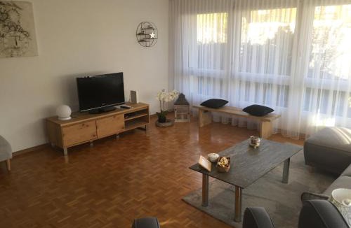 Faulensee Apartment | Lake View Apartment
