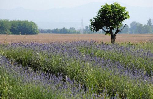Sulbiate House | Fondo Brugarolo B&B