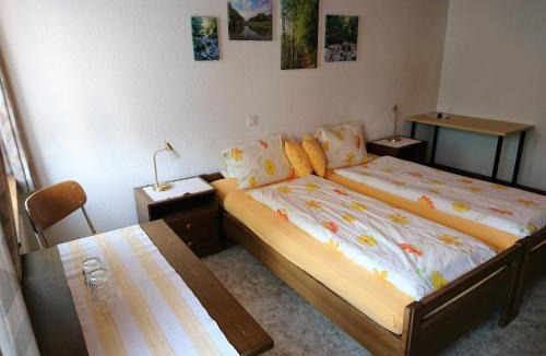Saint Gallenkappel Hotel | Gasthaus zum Ochsen
