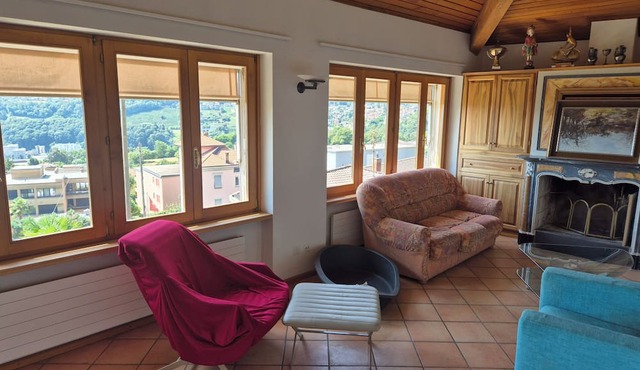 Executive Huge Flat in Central Lugano