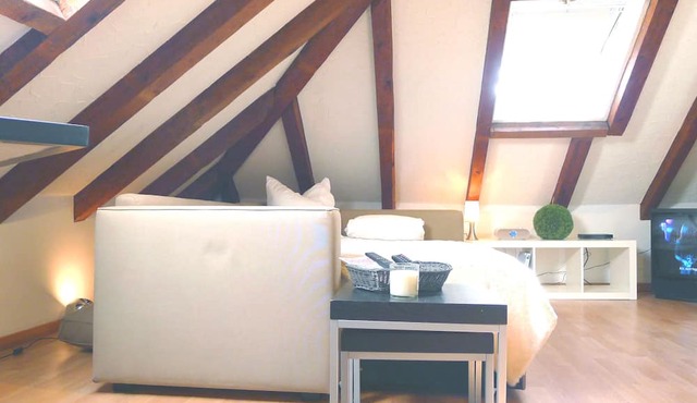 Charming Attic In The Trend Area Of Zurich - Lake Close By