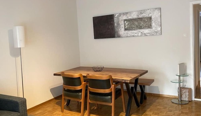 Very nice 2BD flat city center Enge (Wille 1)
