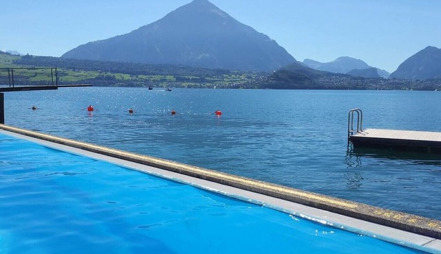 Concierge, Lake Thun/Alps Scenic Views by SwissHut