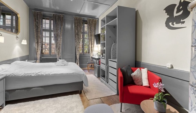 Cosy room - Fribourg old town