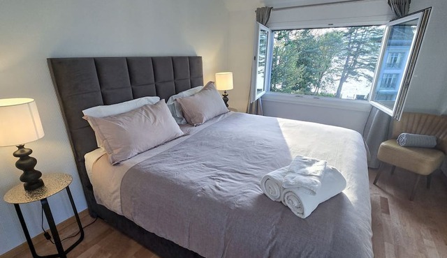 Spacious Duplex apartment with fantastic lake view just 5 minutes from Zurich